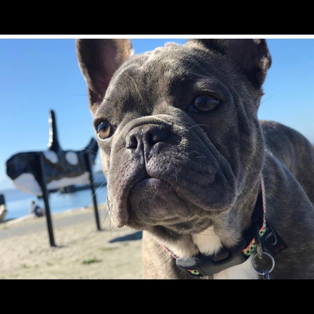 Meet your Posher, Randi